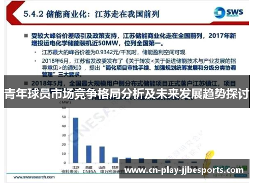 青年球员市场竞争格局分析及未来发展趋势探讨